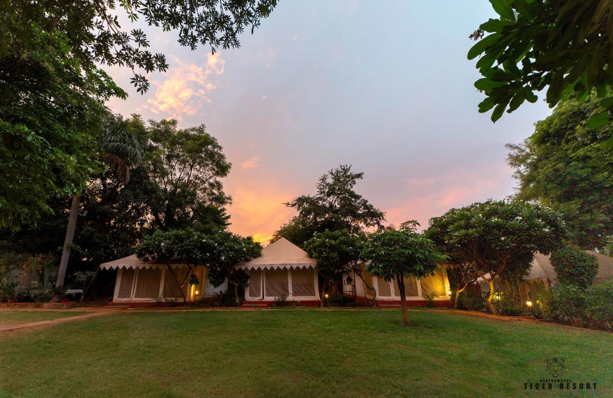 Ranthambore Tiger Resort Sawai Madhopur Zewnętrze zdjęcie